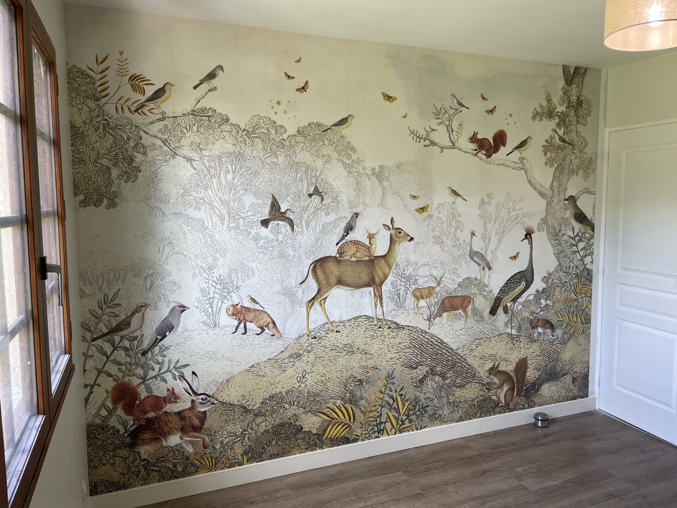 Rénovation peinture Juigné-sur-Loire
