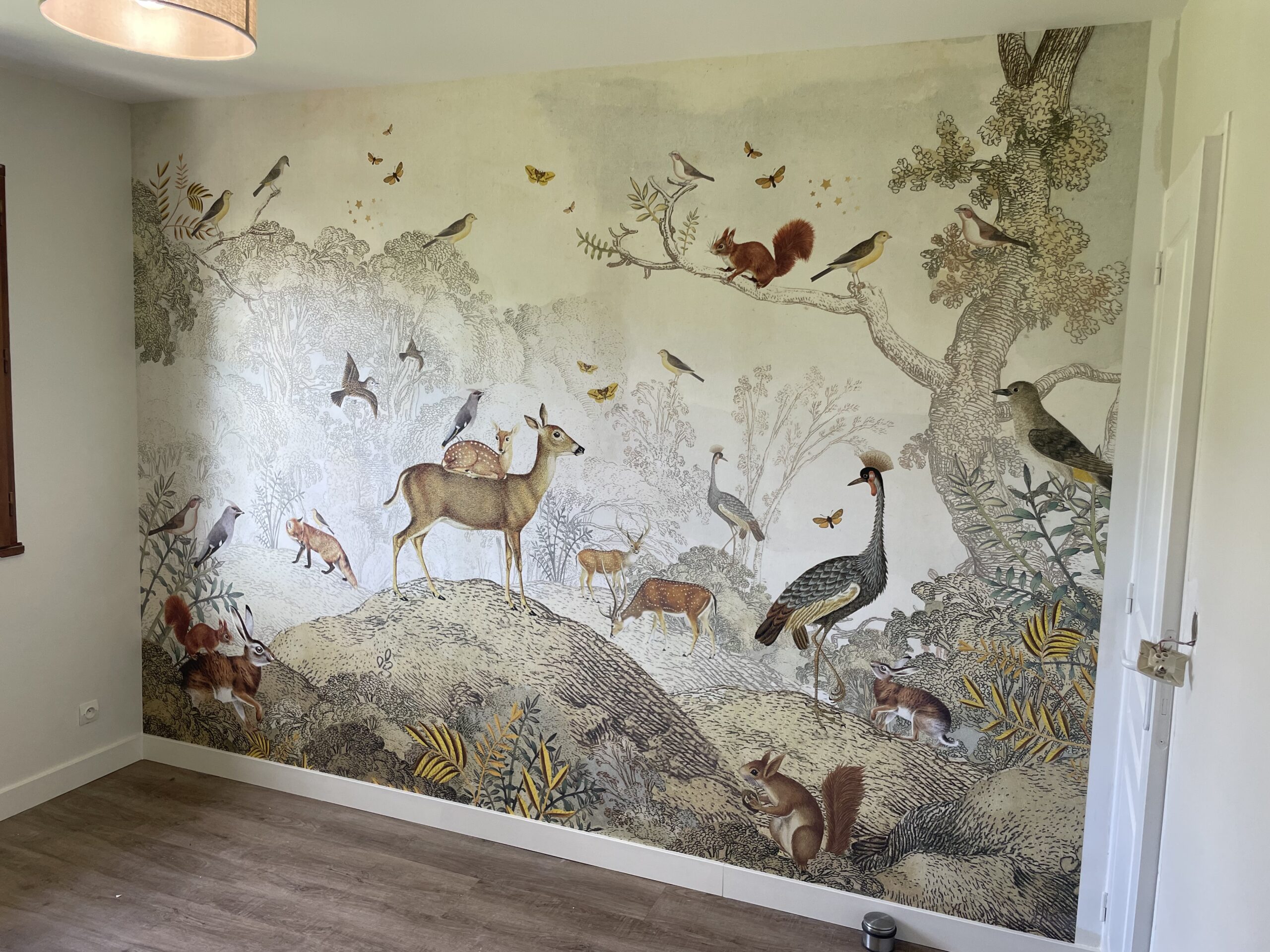 Rénovation peinture Juigné-sur-Loire
