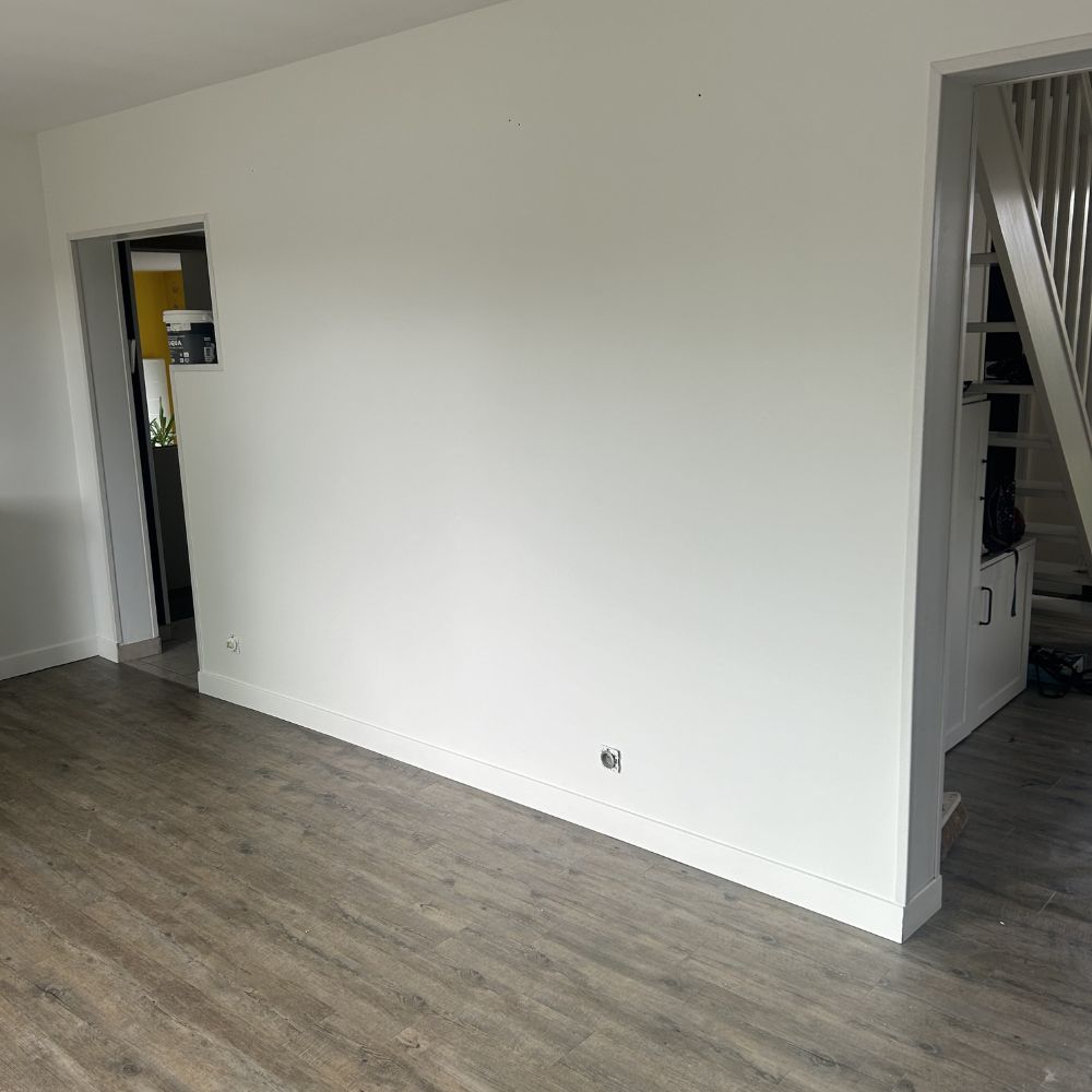 rénovation peinture salon